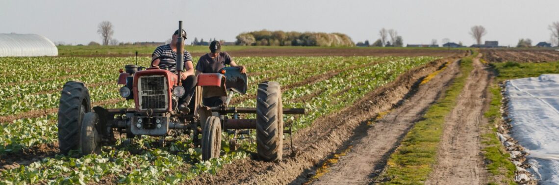 Trabajadores agrícolas produciendo gracias a la utilización SAP PM en los procesos de gestión.